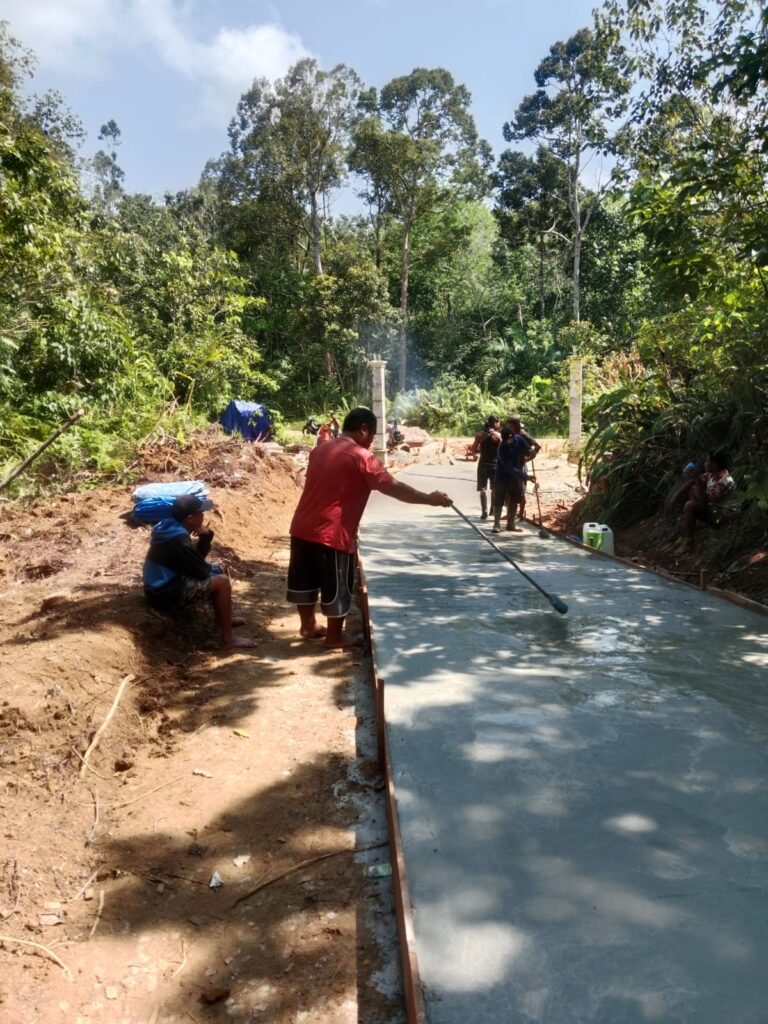 Giat Fisik Pemdes Sei Hanyo Semenisasi Jalan Akses TPU dan Lingkungan