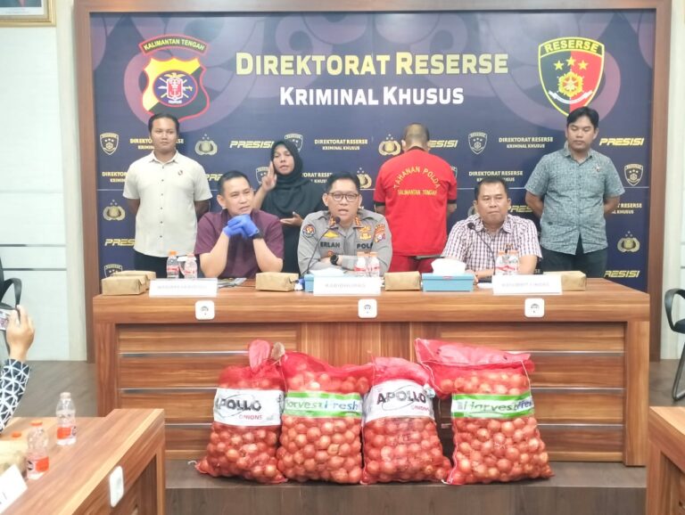 Ditreskrimsus Polda Kalteng Berhasil Amankan 1 Tersangka Pengangkut 8,4 Ton Bawang Bombay Ilegal di Palangka Raya