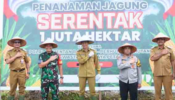 Pj Bupati Muhlis Ikuti Penanaman Jagung Serentak 1 Juta Hektar