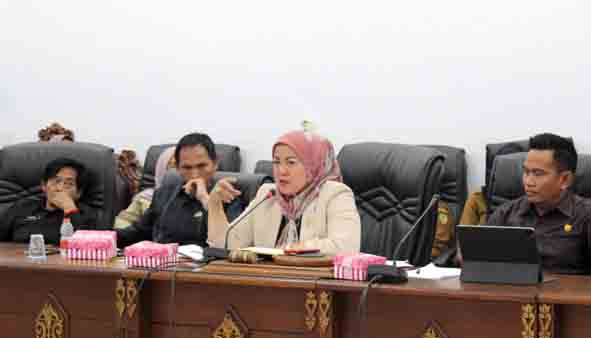 Hadiri RDP, Patih Herman AB Sampaikan Masih Ada Celah yang Bisa Diperjuangkan untuk Tenaga Honorer