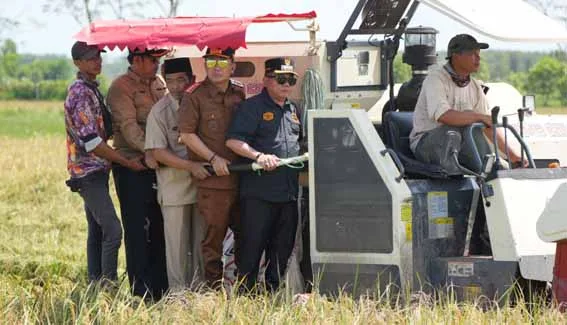 Bupati dan Wakil Bupati Barsel Hadiri Panen Raya Padi Serentak di 14 Provinsi Secara Virtual