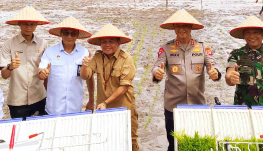 Waket II DPRD Kalteng Apresiasi Terlaksananya Gerakan Tanam Padi