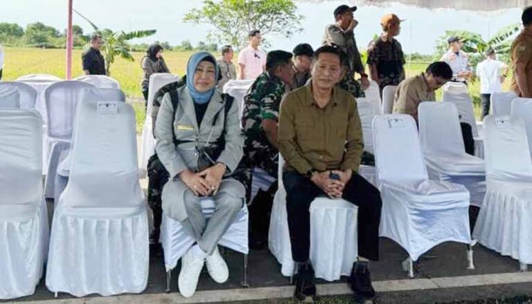 Ketua DPRD Mery Rukaini Hadiri Panen Raya Padi Serentak di Desa Pantik Kabupaten Pulang Pisau