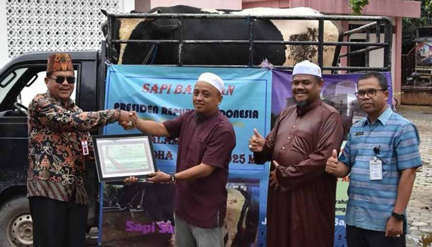 Pemkab Barito Utara Terima Bantuan Sapi Kurban dari Presiden RI Prabowo Subianto