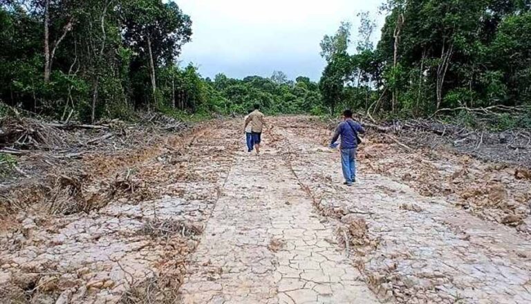 Dewan Barut Turut Serta Lakukan Survei Rencana Jaringan Listrik di Dua Desa