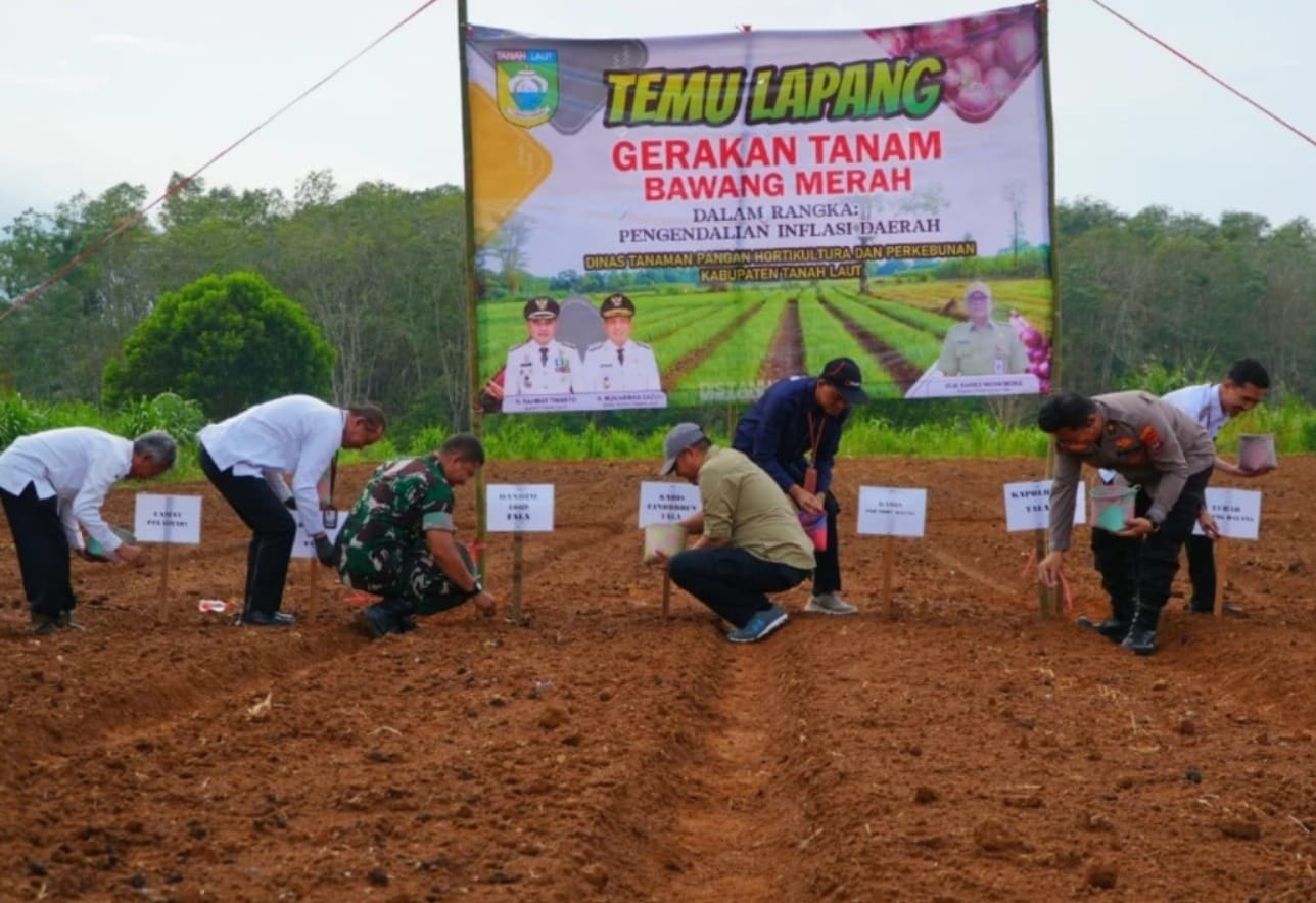 WhatsApp Image 2025-07-17 at 11.15.11