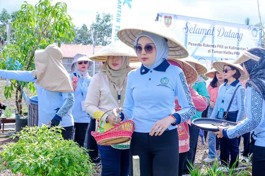 Aisyah Thisia Agustiar Sabran Dorong Kader PKK Manfaatkan Lahan Pekarangan Sebagai Sumber Pangan