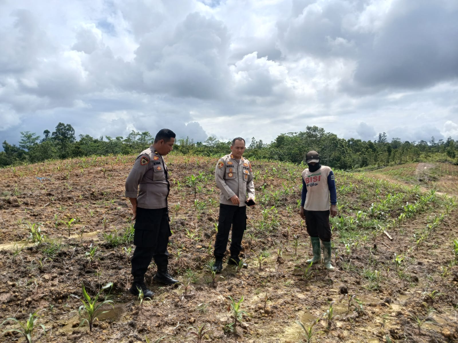 Kapolres Gunung Mas Tinjau Kebun Jagung 1,5 Hektar di Belakang Mapolres