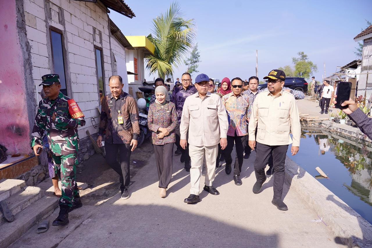 WhatsApp Image 2025-12-03 at 07.34.02