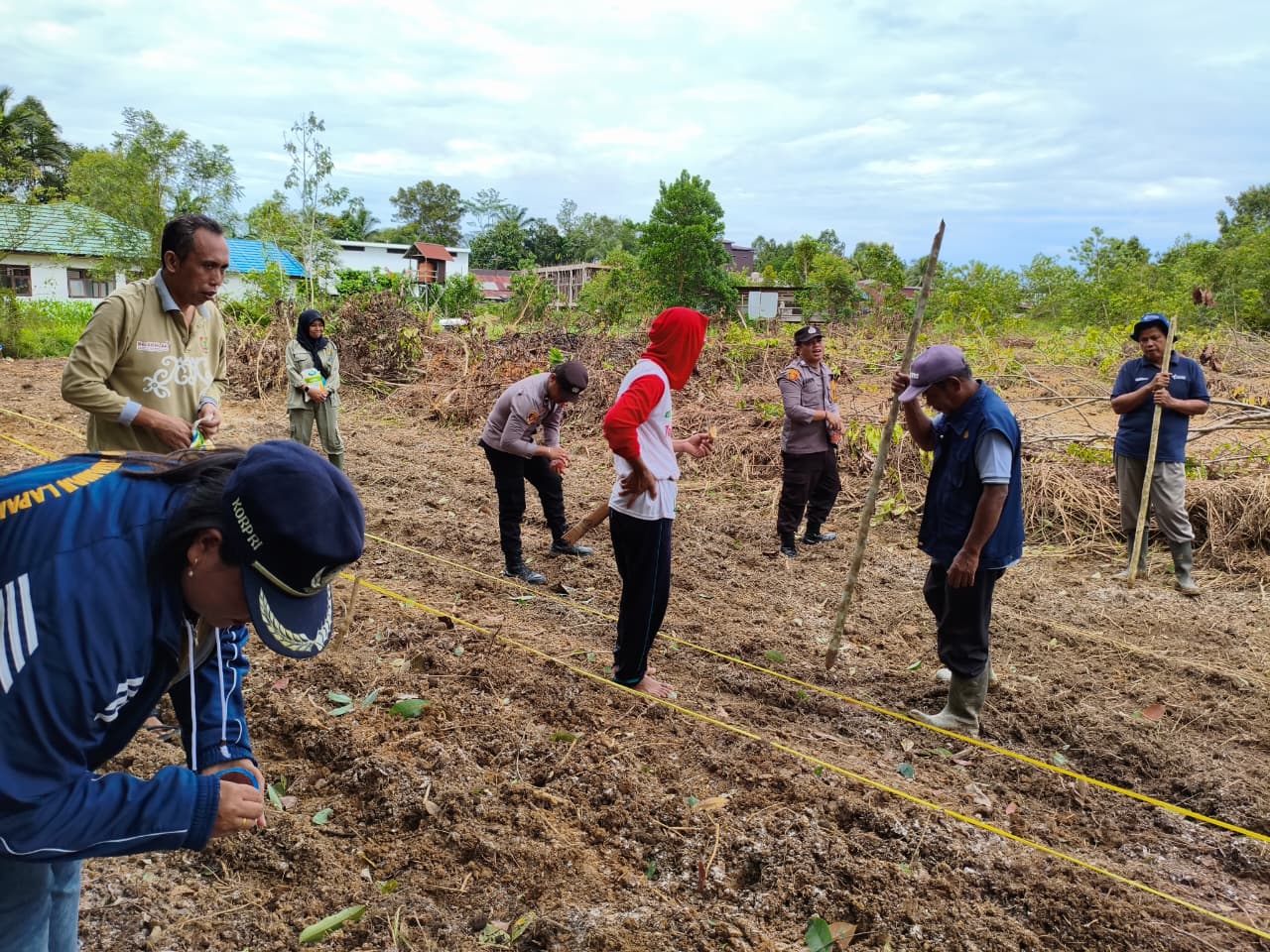 Tanam Jagung Hibrida di Satu Hektare Lahan BPP