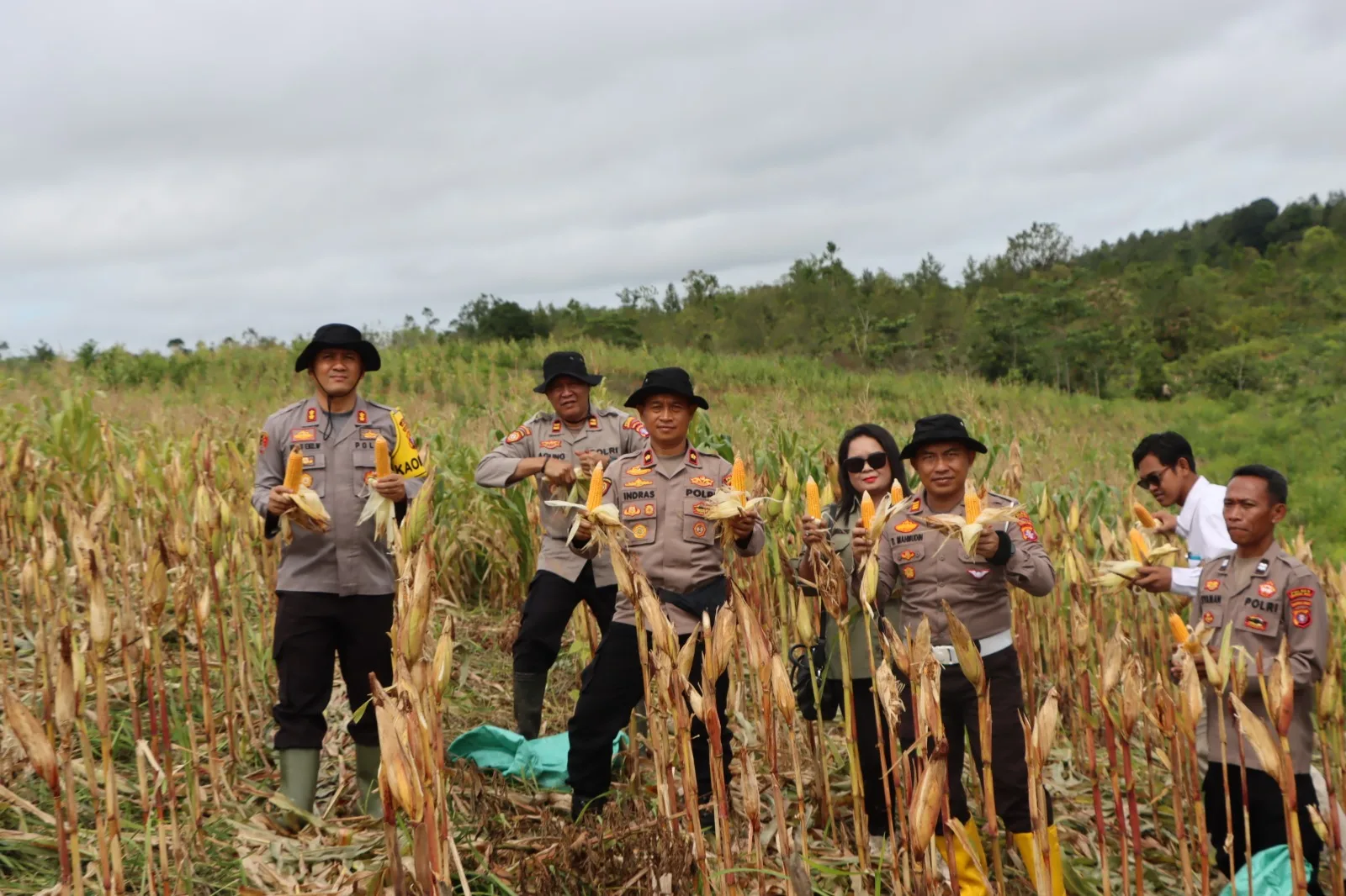 Polres Gunung Mas Panen Raya Jagung Serentak Kuartal IV