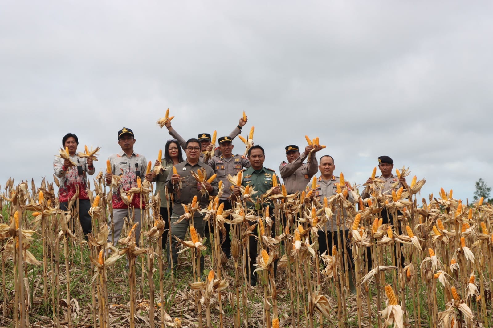 Polres Gunung Mas Gelar Panen Raya Jagung Serentak Bersama Kapolri