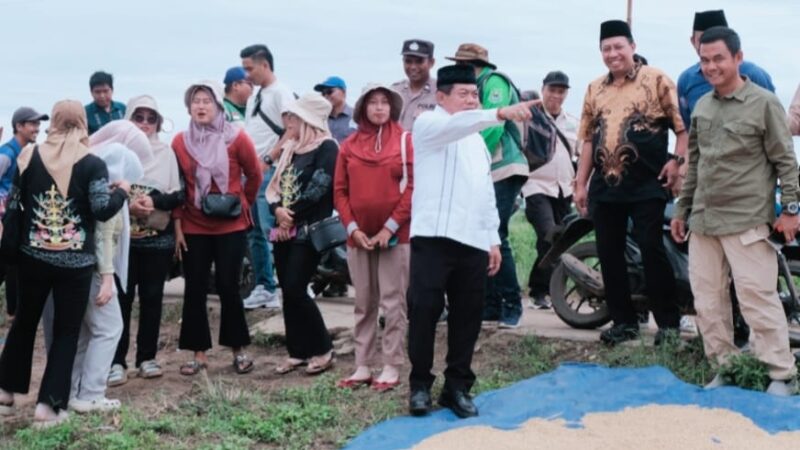 Bupati Kapuas Hadiri Panen Raya dan Tinjau Infrastruktur di Kecamatan Bataguh