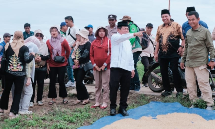 Bupati Kapuas Hadiri Panen Raya dan Tinjau Infrastruktur di Kecamatan Bataguh