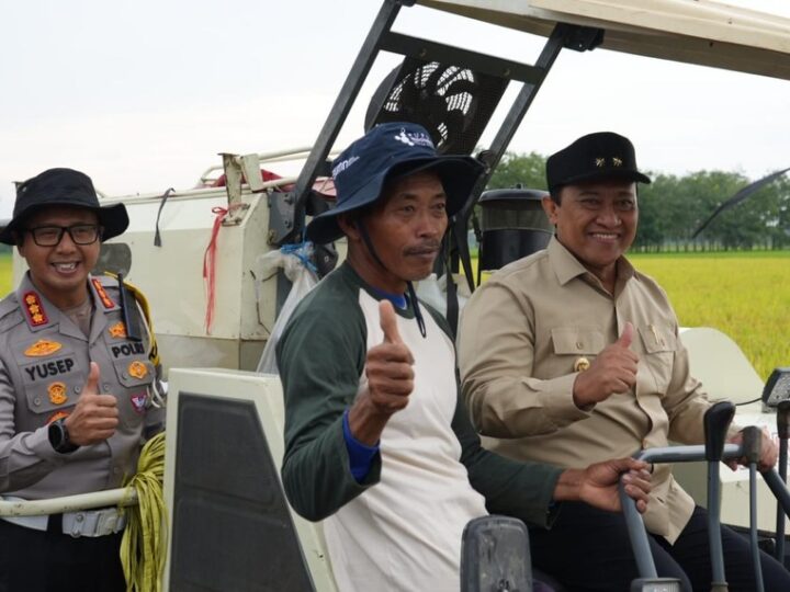 Hadiri Panen Raya Demplot Padi, Wagub Sampaikan Sektor Pertanian Salah Satu Fokus Perhatian Gubernur