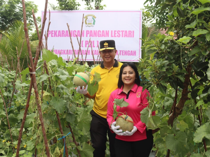 Bersama Bhayangkari, Kapolda Kalteng Panen Melon dari Program Pekarangan Pangan Lestari