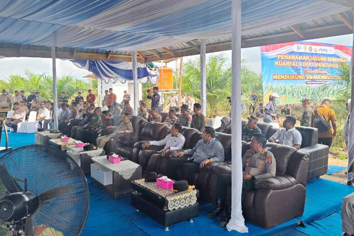 Gubernur Kalteng Ikuti Tanam Jagung Serentak Kuartal I, Bentuk Dukungan Program Swasembada Pangan