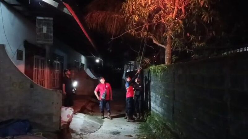 Damkar Musnahkan Sarang Tawon Vespa, Satu Warga Tersengat