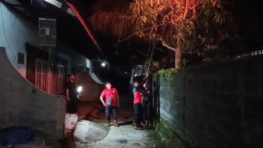 Damkar Musnahkan Sarang Tawon Vespa, Satu Warga Tersengat