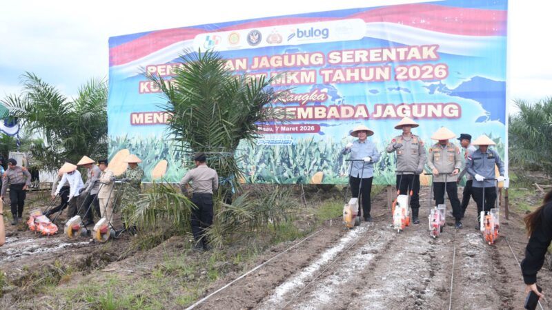 Polda Kalteng Bersama PT MKM Tanam Jagung di Lahan Sawit, Dukung Ketahanan Pangan Nasional