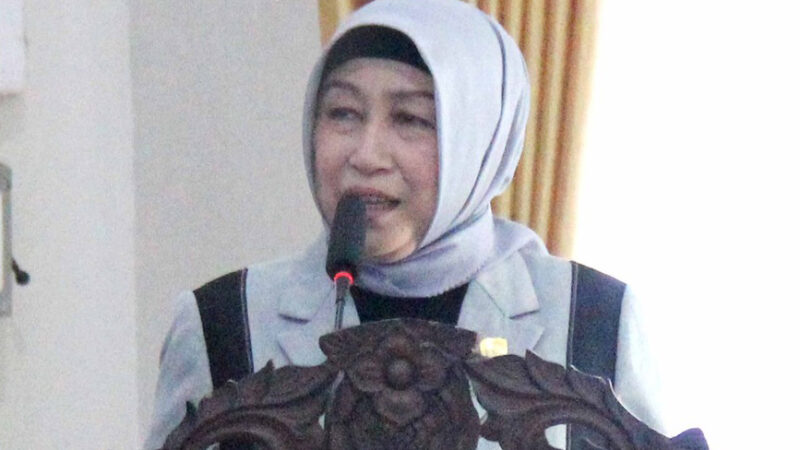 Hadiri Pembukaan Konsultasi Publik Rancangan Awal RKPD, Ketua DPRD Barut Sampaikan Paparannya