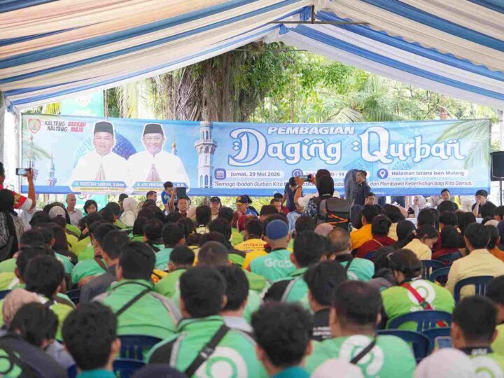 Keluarga Besar Gubernur Kalteng Sembelih Tiga Ekor Sapi Limosin