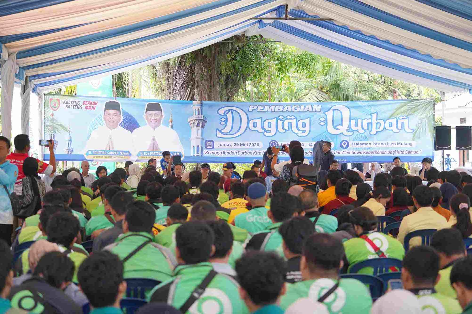 Keluarga Besar Gubernur Kalteng Sembelih Tiga Ekor Sapi Limosin