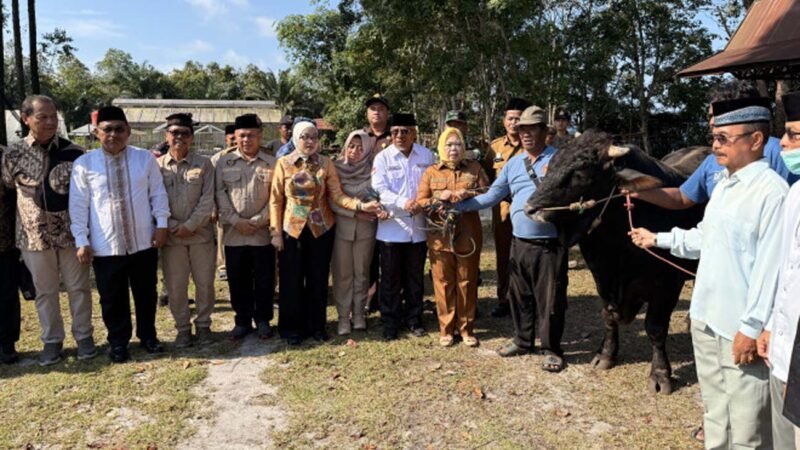 Waket I DPRD Kalteng Hadiri Pendistribusian Hewan Kurban di Kabupaten Kobar