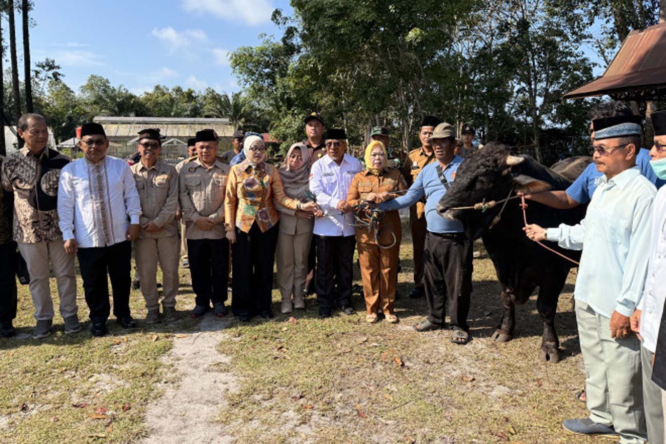Waket I DPRD Kalteng Hadiri Pendistribusian Hewan Kurban di Kabupaten Kobar