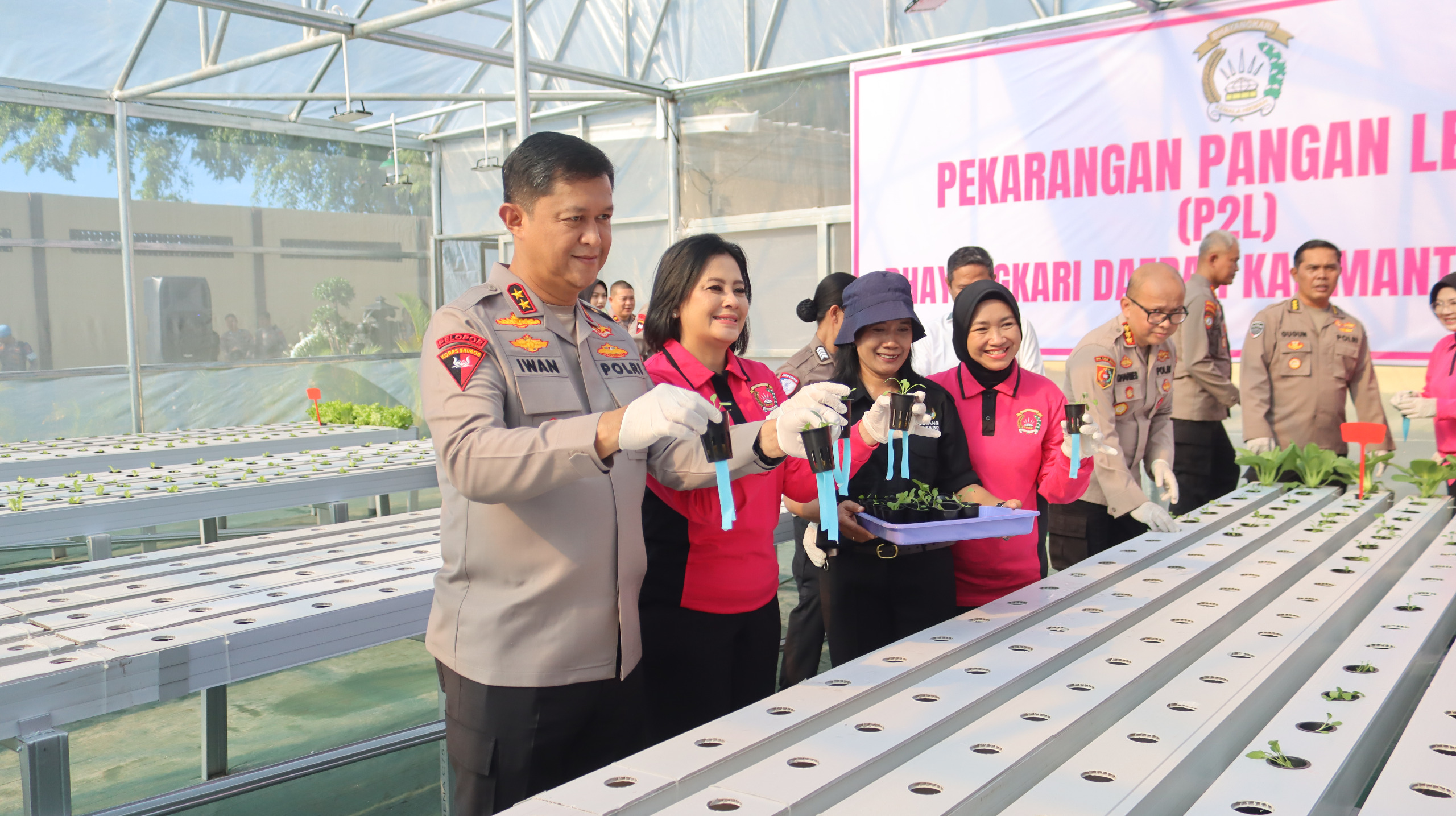 Green House Hidroponik Polda Kalteng, Langkah Kecil untuk Ketahanan Pangan yang Lebih Hijau