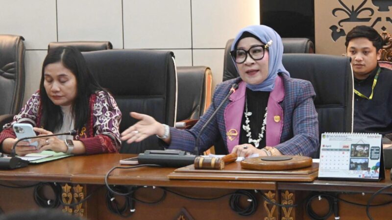 Rapat Dengar Pendapat DPRD Barito Utara Bahas Pelayanan RSUD dan BPJS