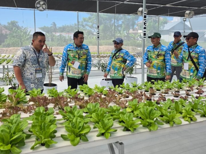 Wabup Barito Utara Belajar Teknologi Pertanian di PENAS XVII, Bidik Produktivitas Petani Meningkat