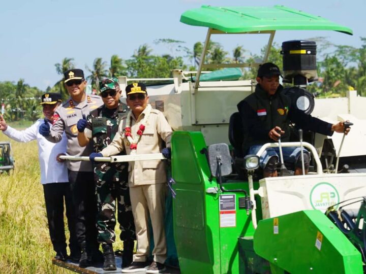 Laksanakan Panen Raya, Gubernur Sampaikan Kapuas Lokus Utama Sentra Produksi Pangan Skala Besar