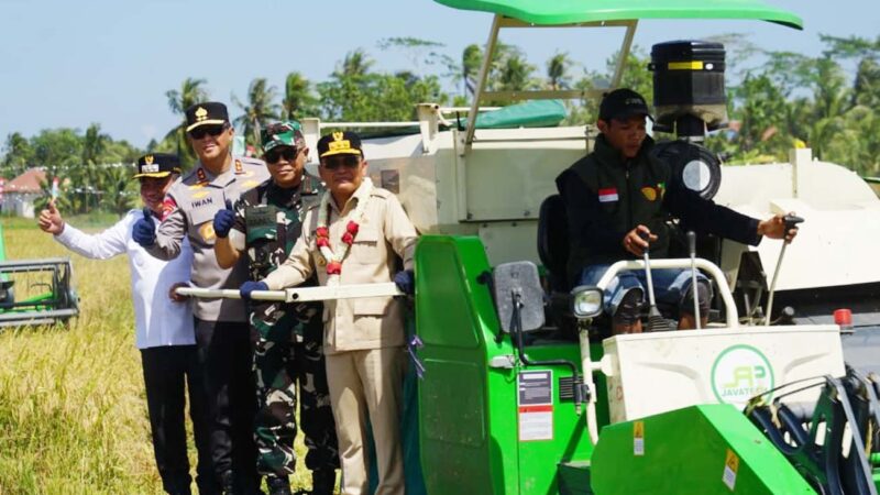 Laksanakan Panen Raya, Gubernur Sampaikan Kapuas Lokus Utama Sentra Produksi Pangan Skala Besar
