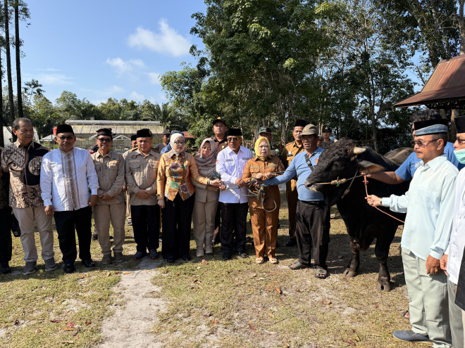 Waket I DPRD Kalteng Hadiri Pendistribusian Hewan Kurban di Kabupaten Kobar