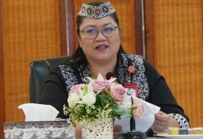 Perkuat Iklim Investasi yang Kondusif, Pemkab Kapuas Susun Perbup