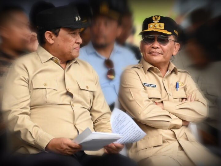 Hari Jadi ke-24 Pulang Pisau, Gubernur Kalteng Buka Gerakan Pangan Murah dan Cek Kesehatan Gratis