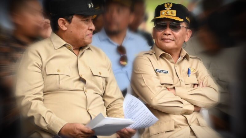 Hari Jadi ke-24 Pulang Pisau, Gubernur Kalteng Buka Gerakan Pangan Murah dan Cek Kesehatan Gratis