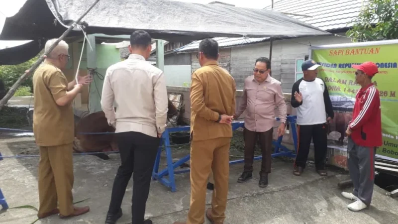 Pastikan Kelayakan Hewan Qurban, Waket II dan Anggota Dapil IV DPRD Kalteng Monitoring Penyaluran di Barsel