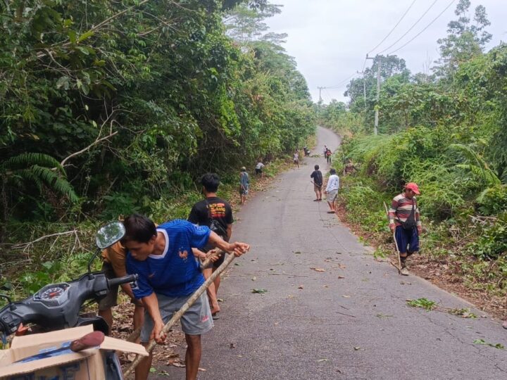 Camat Kapuas Hulu Turun Tangan Bersihkan Bahu Jalan, Warga Diajak Jaga Keselamatan Bersama