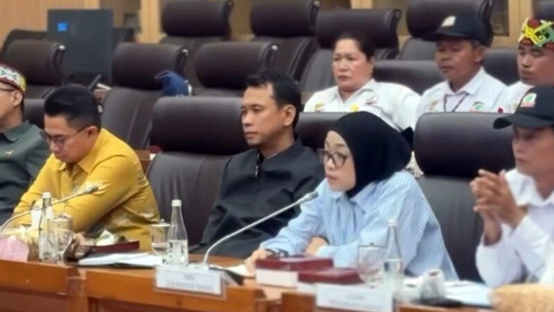 Komitmen DPRD Dorong Percepatan Legalisasi Aktivitas Pertambangan Rakyat di Kalteng