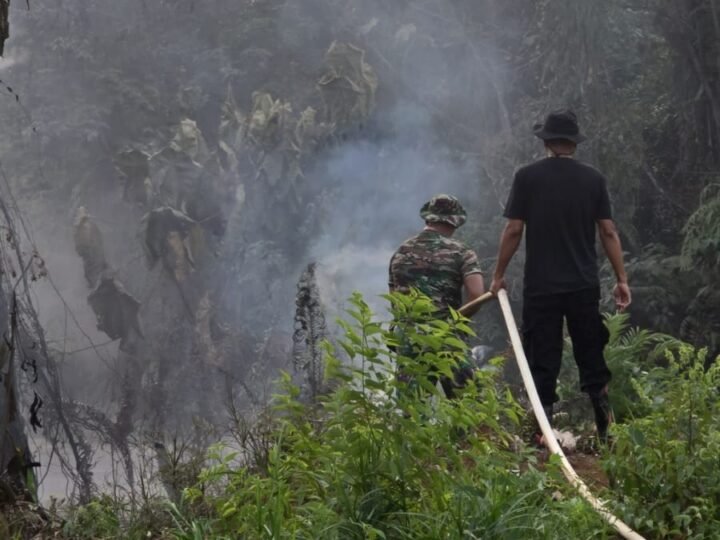 Karhutla Bakar 5,5 Hektare Lahan di Kapuas, Camat dan Polisi Turun Langsung Padamkan Api