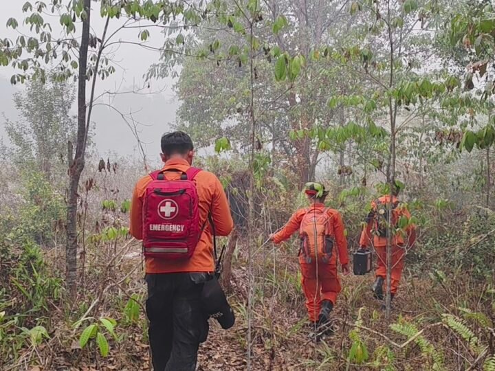 4 Hari Tersesat di Hutan, 3 Pekerja Jalan di Kapuas Berjalan 28 Km hingga Temukan Sungai