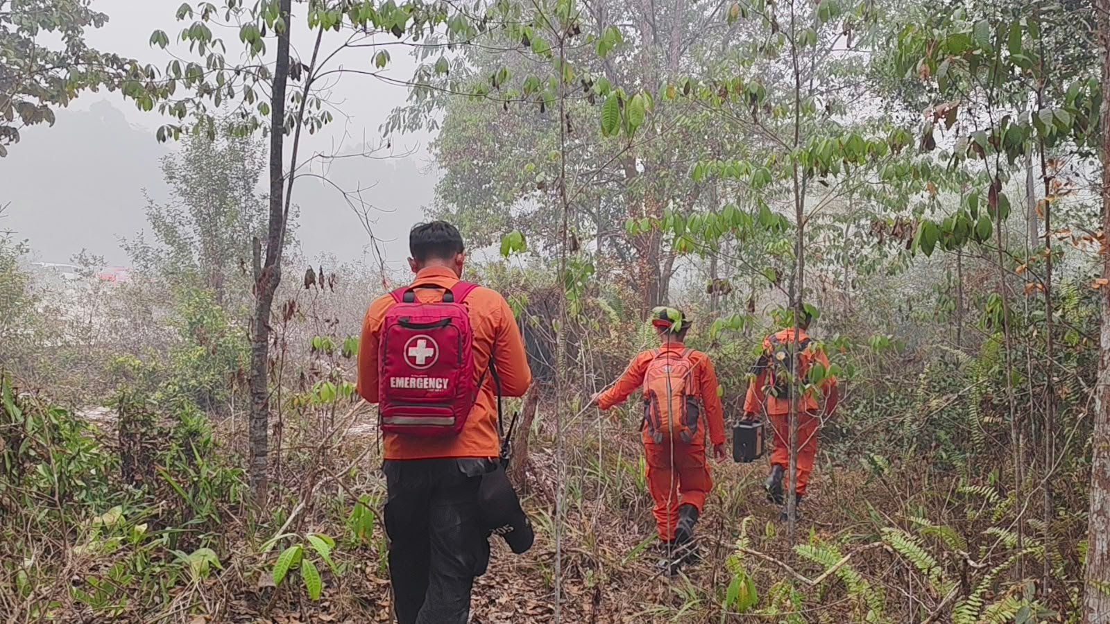 4 Hari Tersesat di Hutan, 3 Pekerja Jalan di Kapuas Berjalan 28 Km hingga Temukan Sungai