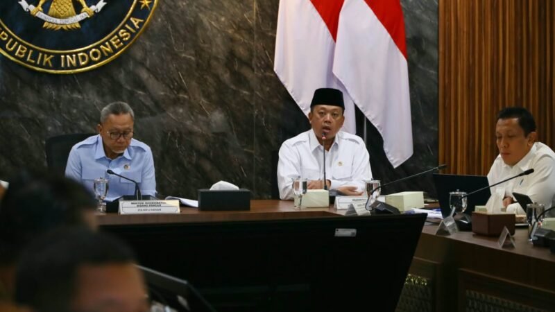 Penetapan LP2B Capai 87,52 Persen, Pemerintah Percepat Perlindungan Lahan Pangan