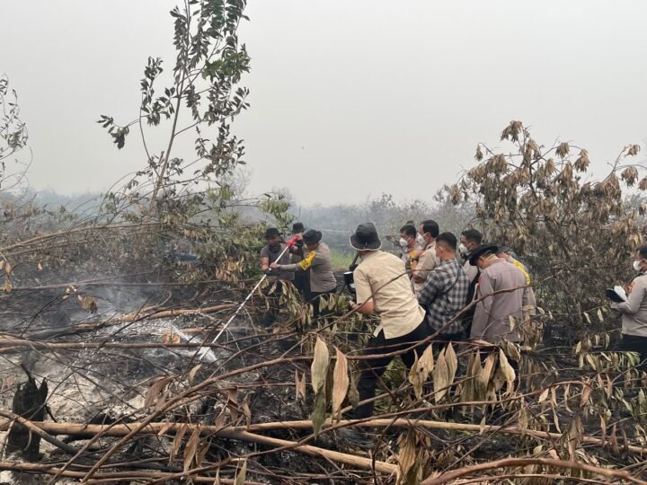 Kapolda Kalteng Cek Pemadaman Karhutla, Cairan X-Fire Dikerahkan