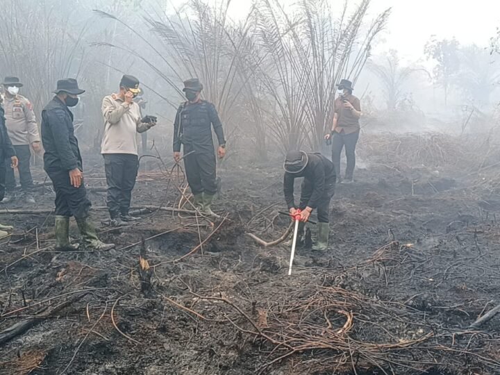Serbuk Hertindo AF31 Dipakai Polda Kalteng Matikan Bara Karhutla Gambut