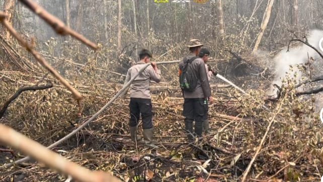 Brimob Berjuang Padamkan Karhutla di Tanjung Puting, Habitat Satwa Liar Jadi Perhatian